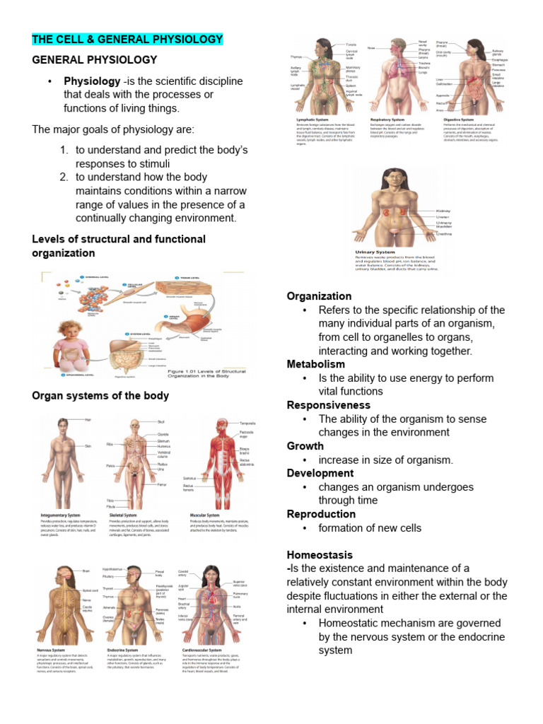 Overview of Cell and General Physiology | PDF | Bone | Skin