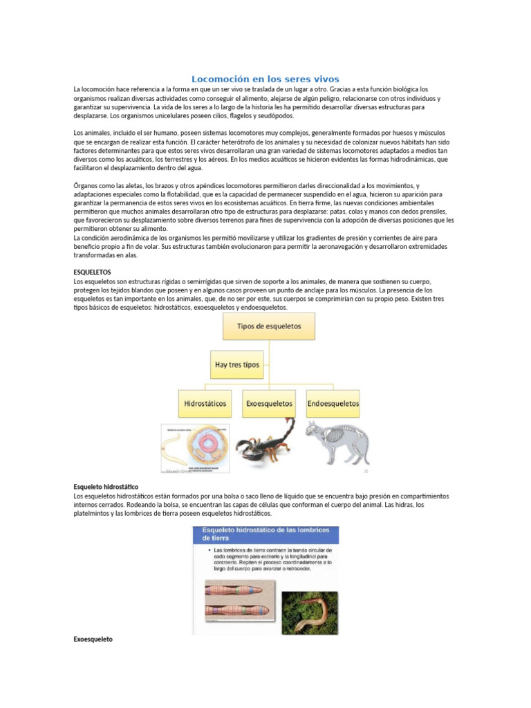 Locomoción en Los Seres Vivos | PDF | Esqueleto
