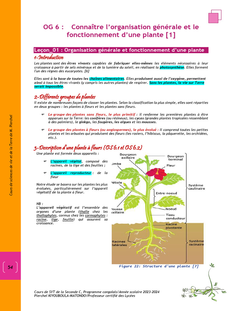 Botanique - Ecologie SC 2024 | PDF | Tige (Plante) | Racine