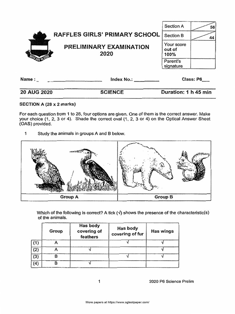 Science 2020 sa2 exam paper pdf