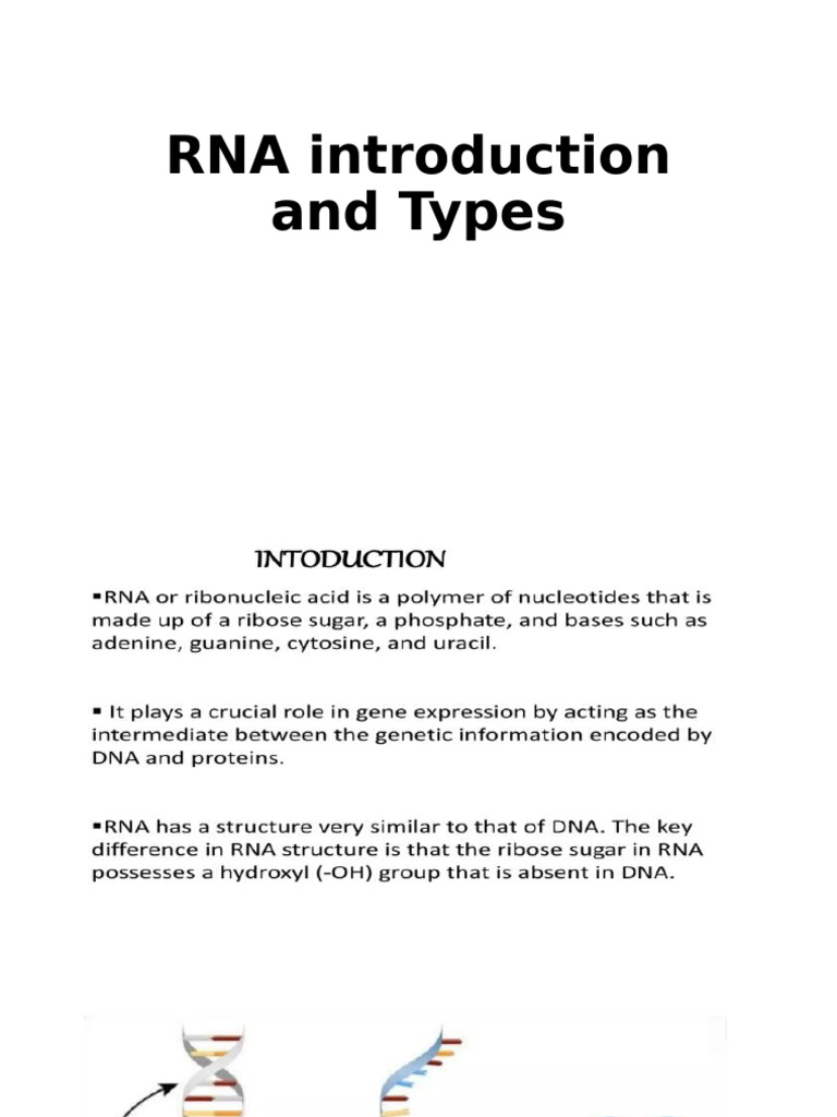 RNA Introduction | PDF