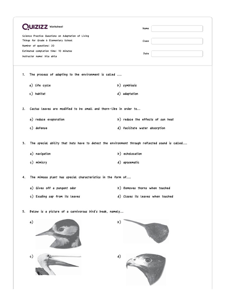 Grade 6 Adaptation Practice Worksheet | PDF | Lizard | Predation