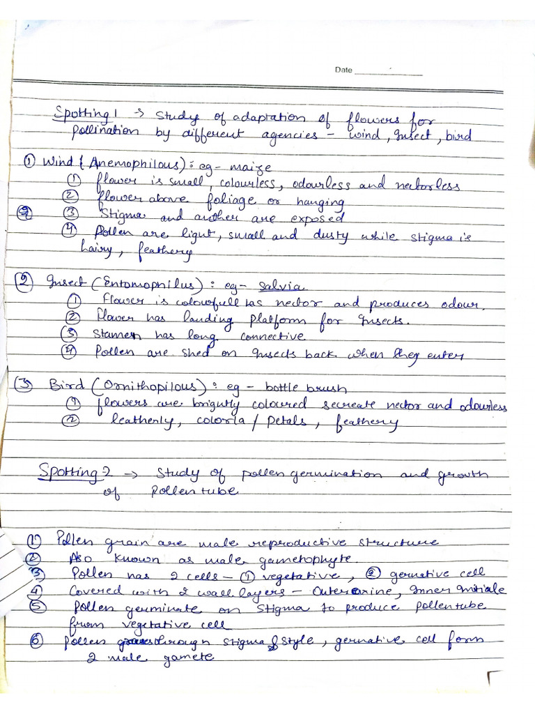 Spoting Class 12 | PDF