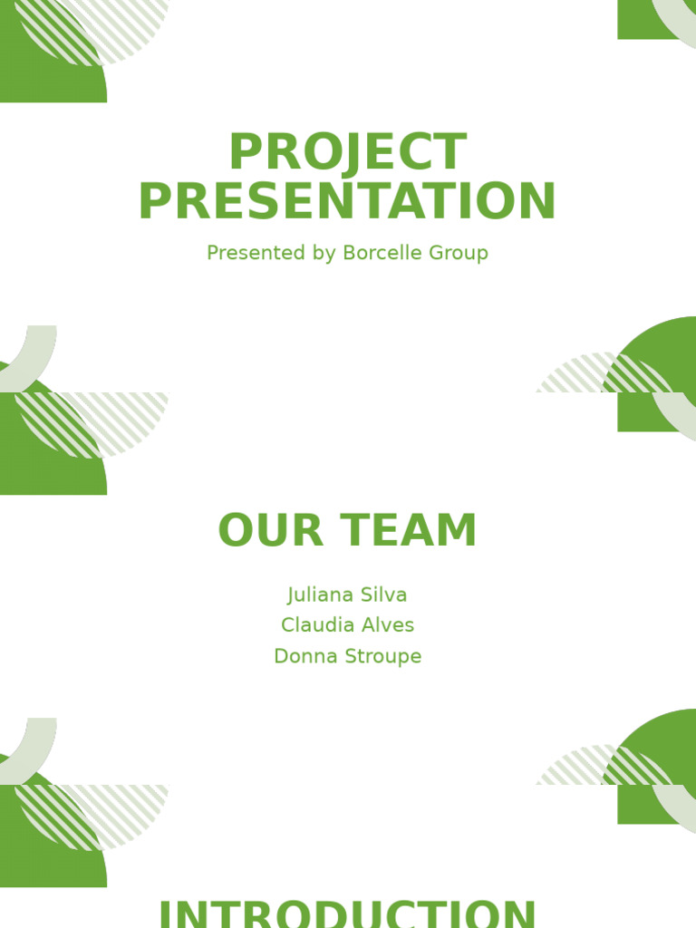 Project Presentation by Borcelle Group | PDF