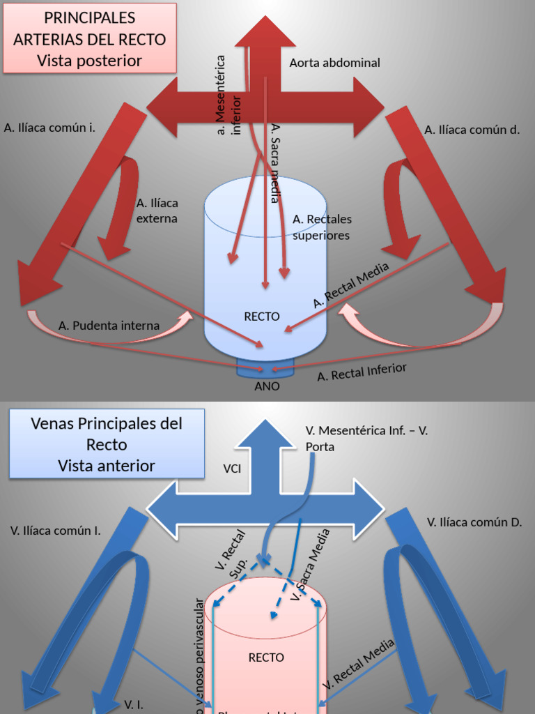 irrigaci-n-recto-pdf-recto-abdomen