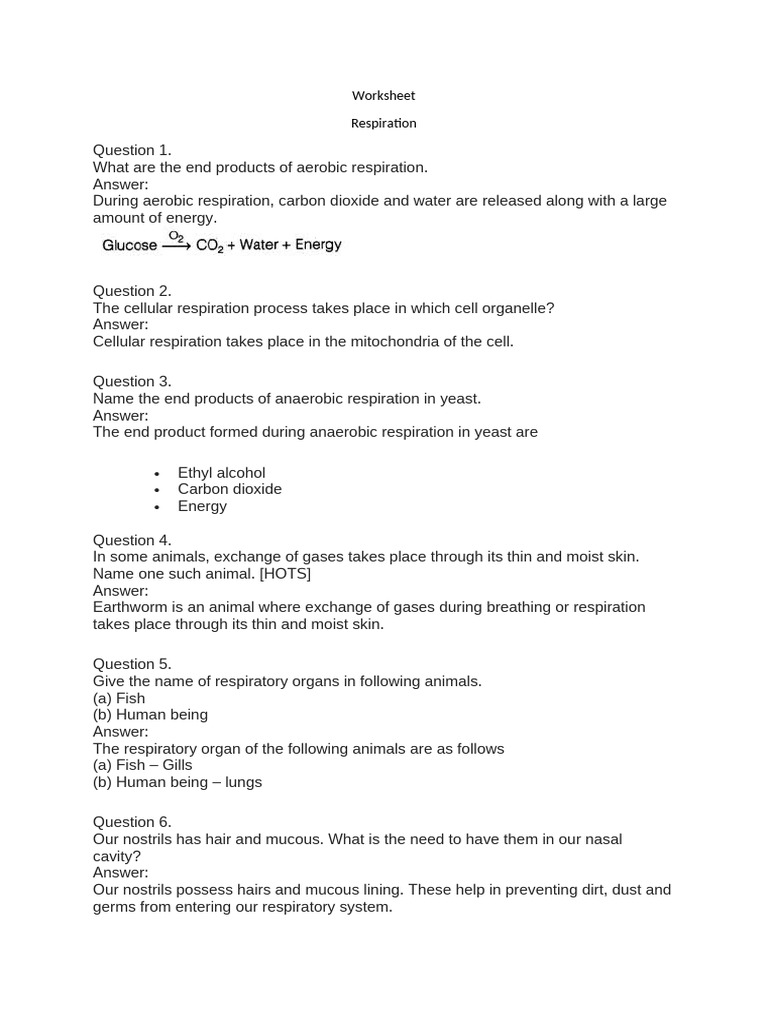 Understanding Respiration Processes | PDF | Respiratory System | Exhalation