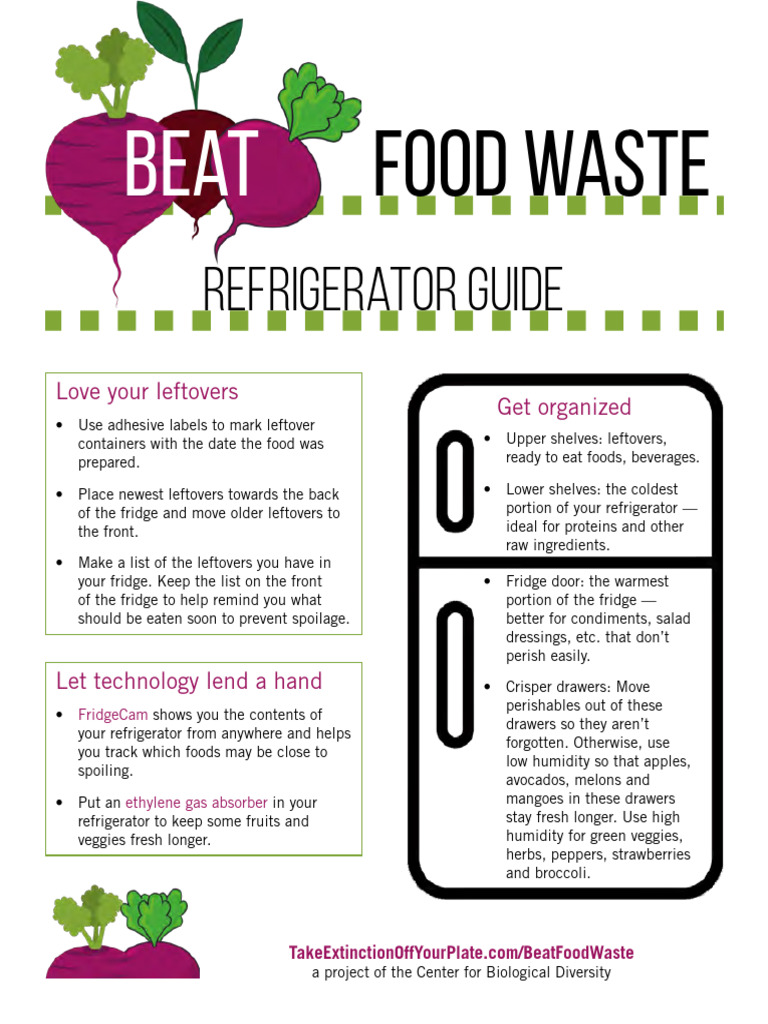 Refrigerator Guide | PDF | Refrigerator | Foods