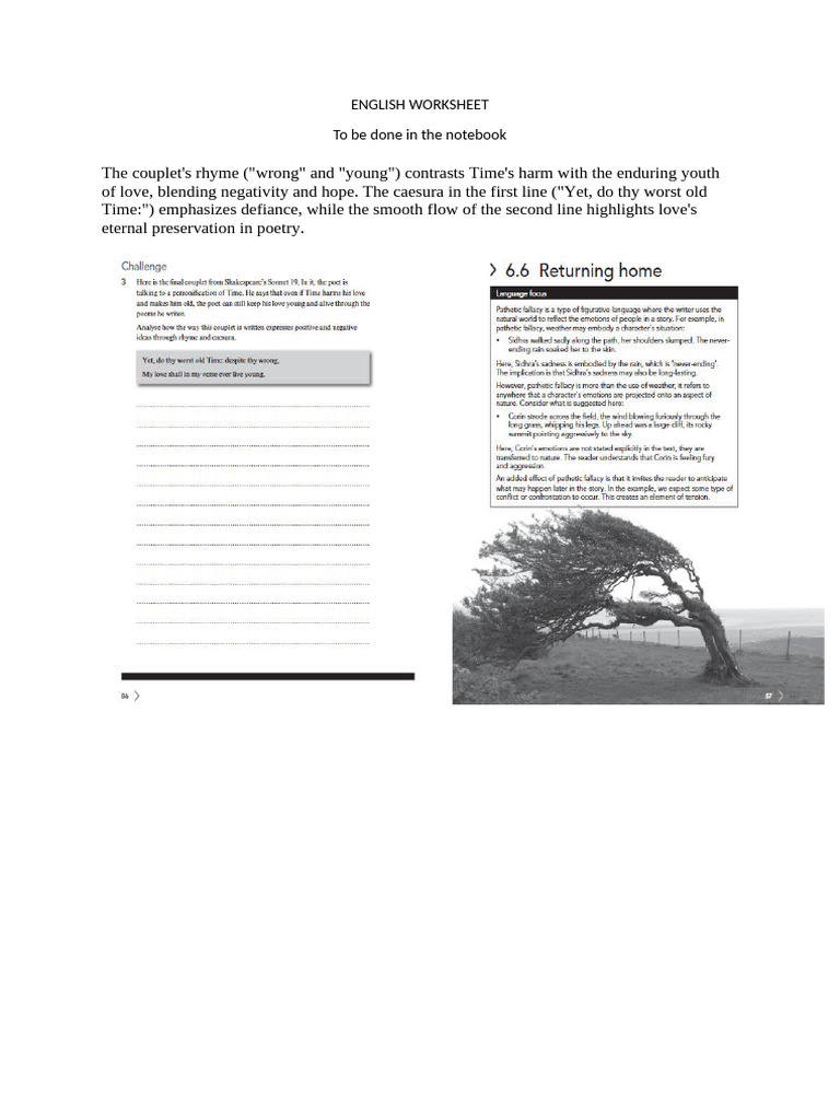 Worksheet+23-1-25 (1) | PDF
