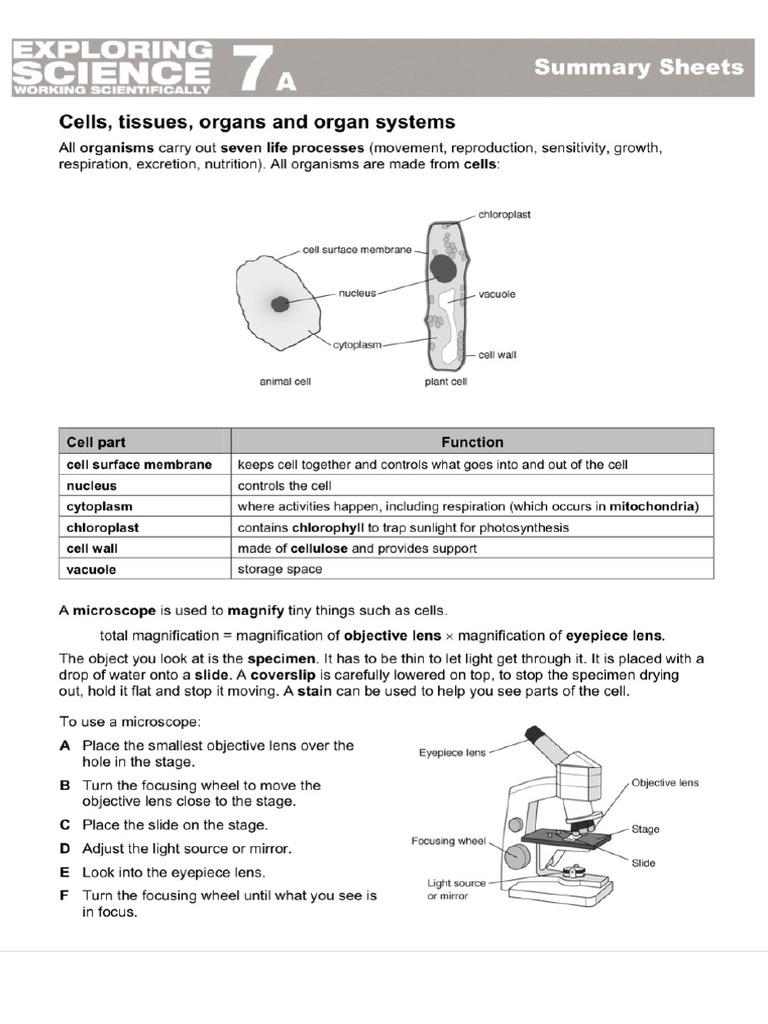 Yr7 Summary Sheets - Science | PDF