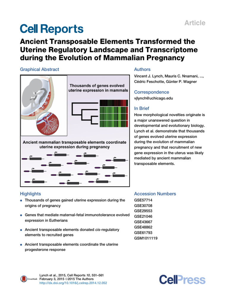 Evolution of Uterine Gene Expression | PDF | Mammals | Marsupials