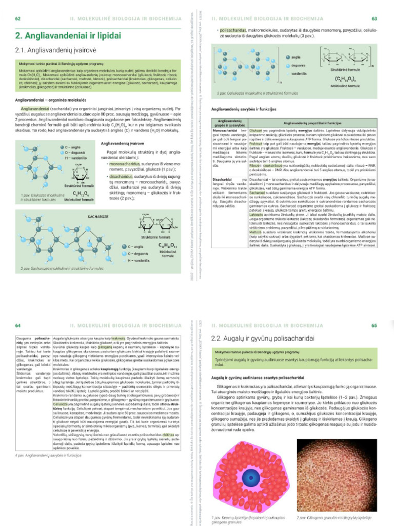 Bio | PDF