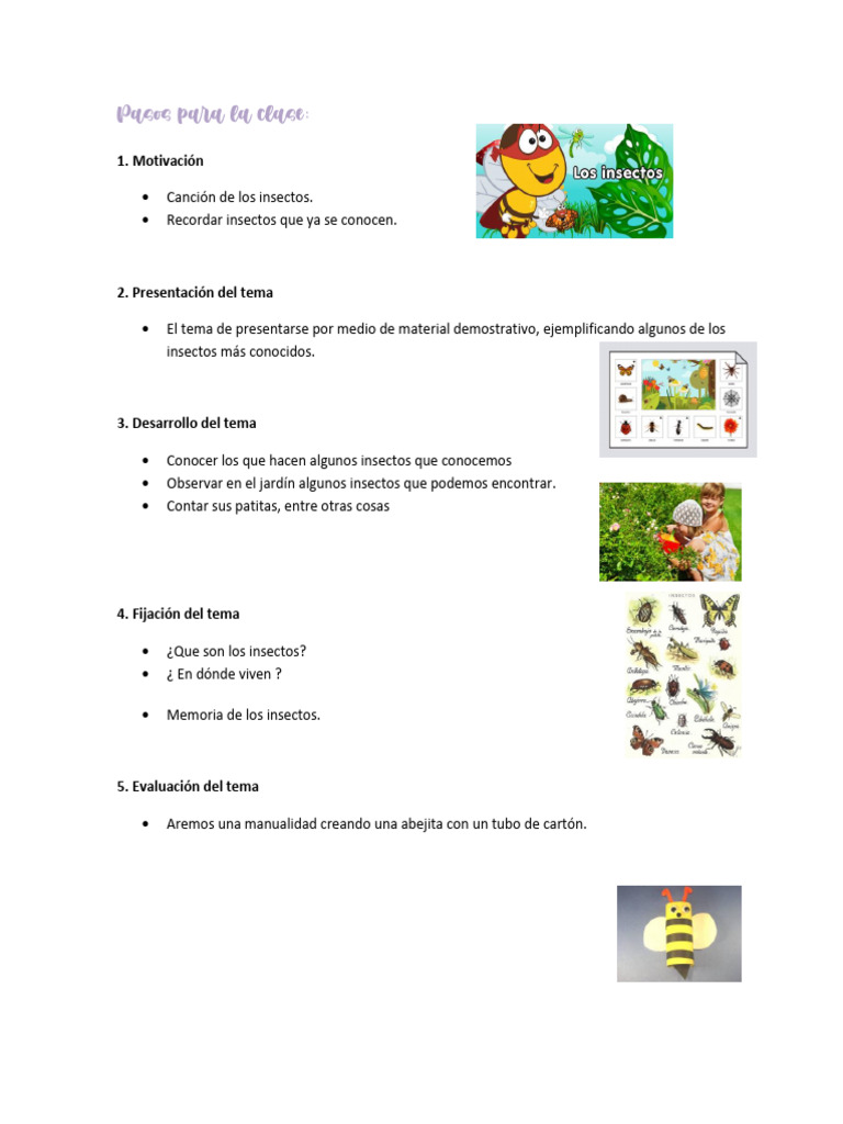 Insectos Actividades | PDF
