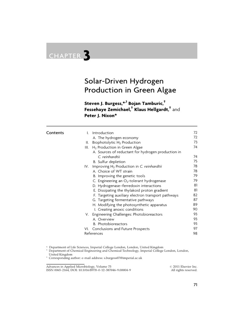 Solar Driven Hydrogen Production in Green Algae | PDF | Electron ...
