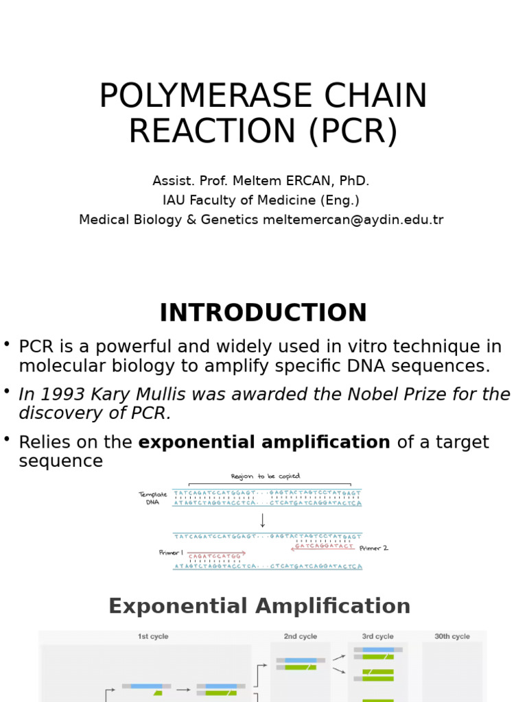2 Experiment PCR | PDF | Polymerase Chain Reaction | Primer (Molecular ...