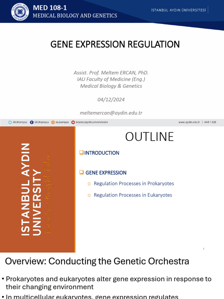 4 Lecture Gene Expression Regulation | PDF | Operon | Gene