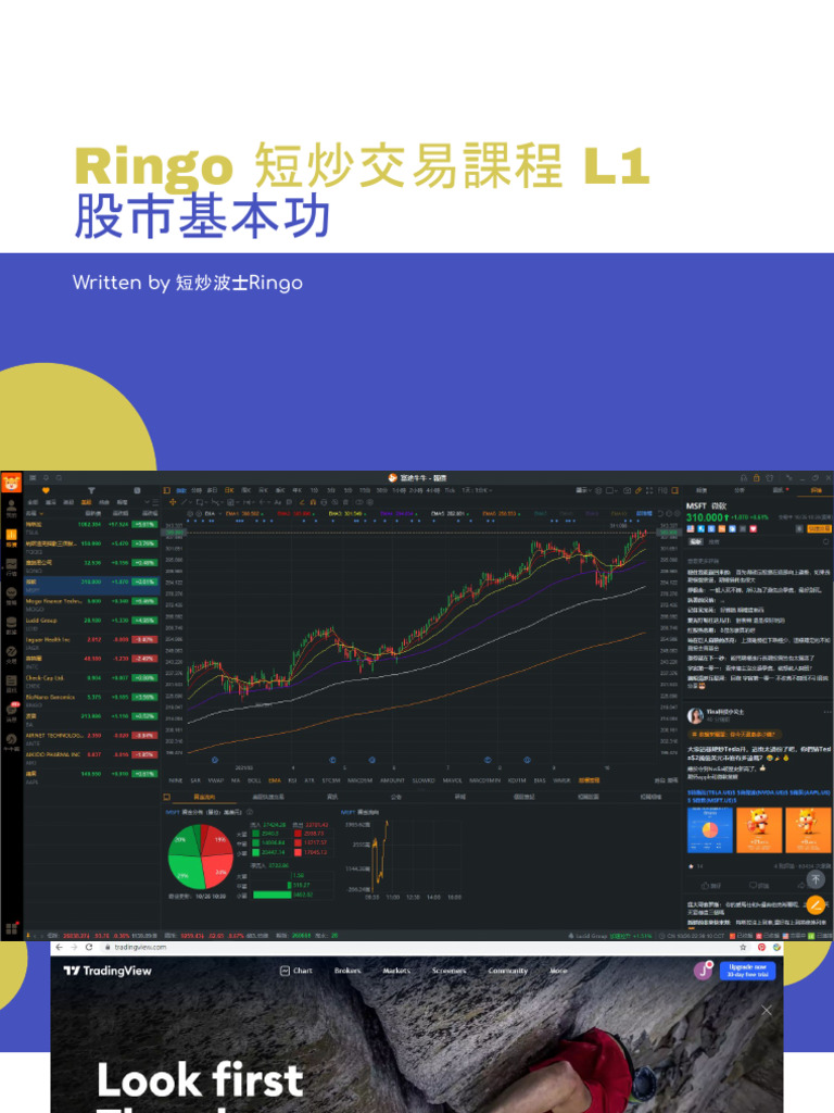 Ringo Lesson 1 Trading Course C12 | PDF