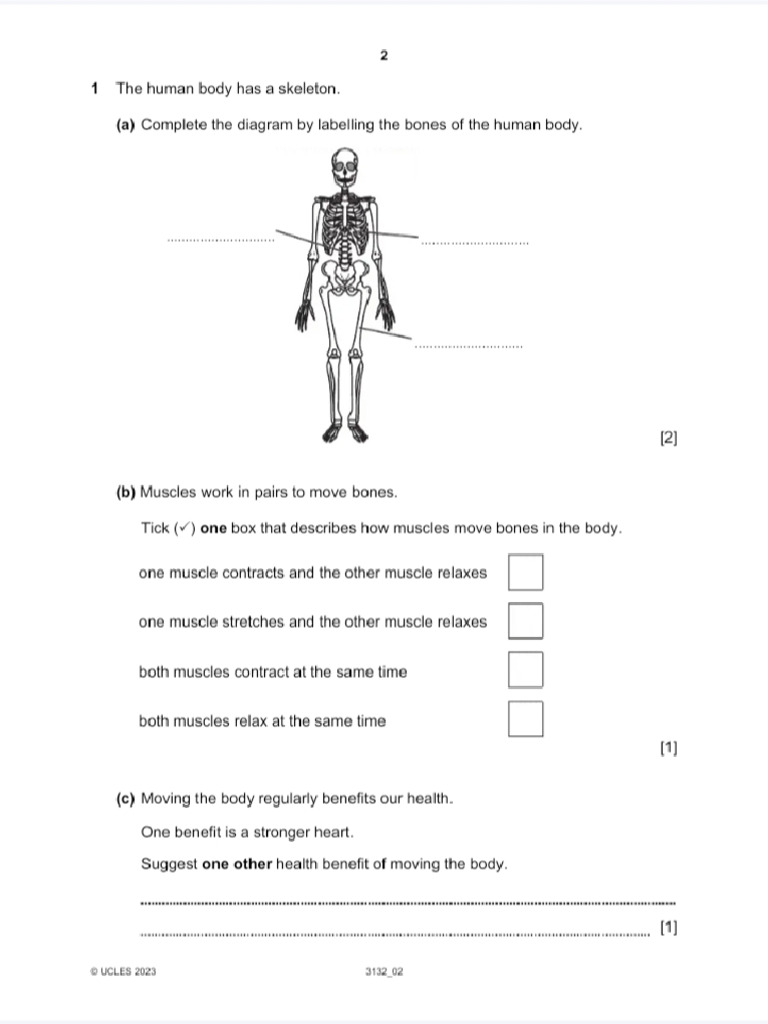 TEST DEFINITION IN SCIENCE visual data 7