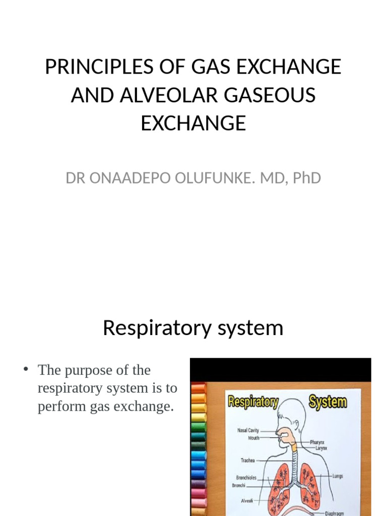 Physical Principles of Gas Exchange Alveolar Gas Exchange Dr. ONAADEPO ...