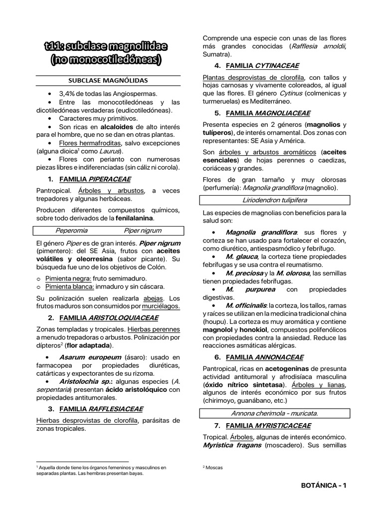 Características y Familias de Magnólidas | PDF | Sauce | Colza