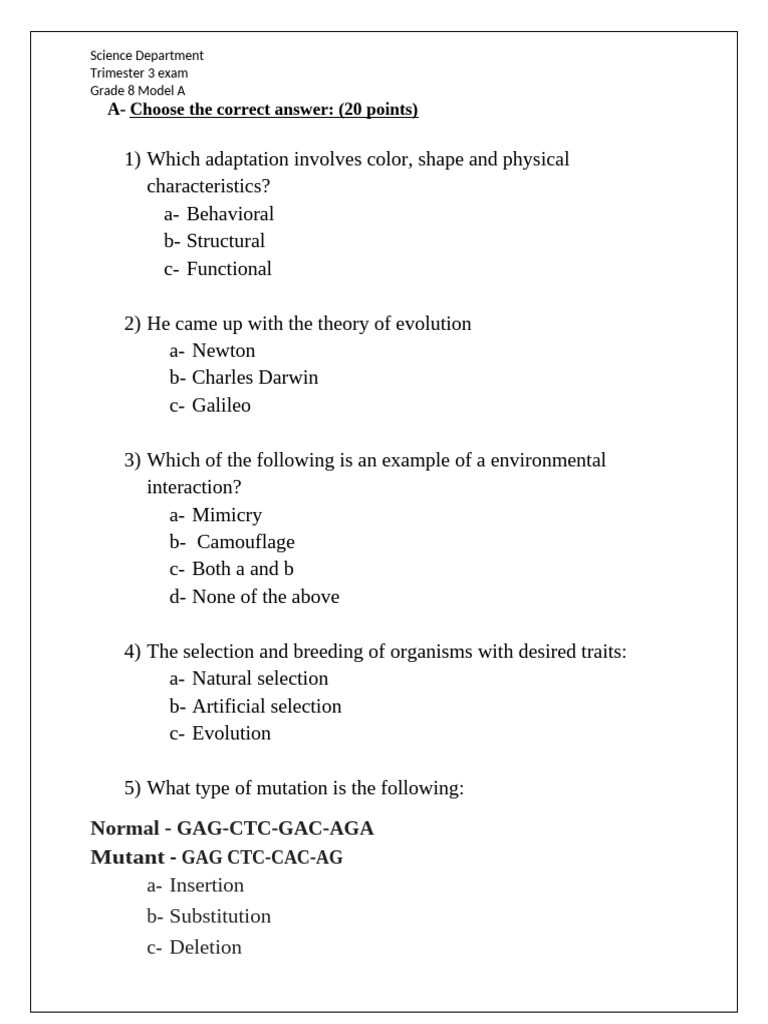 3rd Trimester Exam Grade 8 Model A | PDF | Mirror | Color