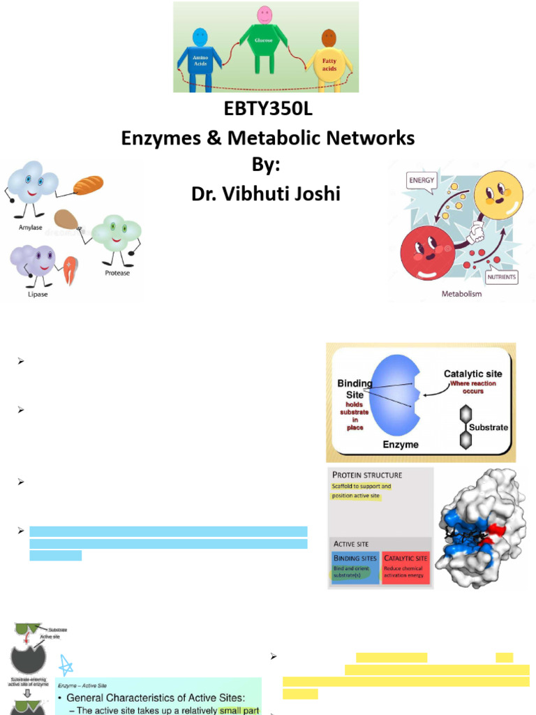 2 Features of Enzyme Catalysis | PDF | Enzyme | Active Site