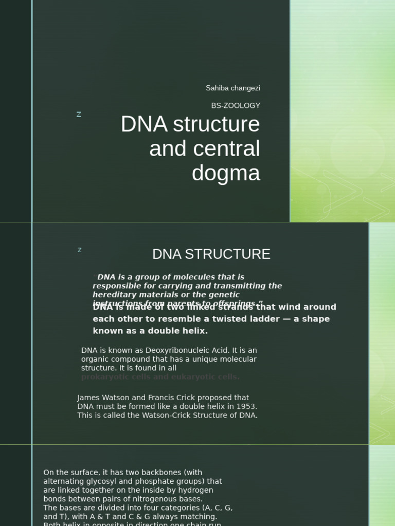 DNA Structure and Central Dogoma | PDF | Rna | Translation (Biology)