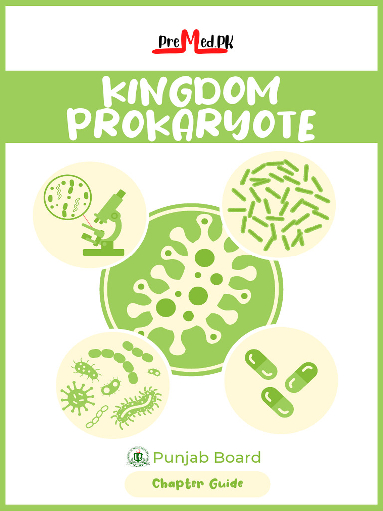 Kingdom Prokaryote MDCATIAN MART | PDF | Bacteria | Microorganism