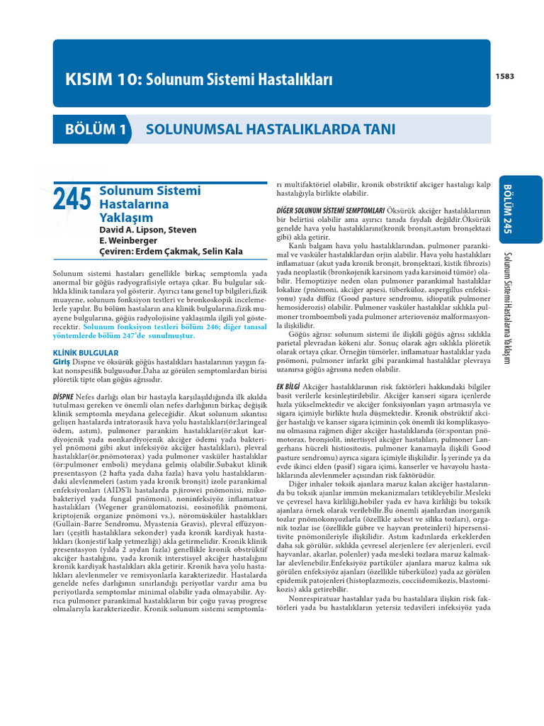 Kisim | PDF