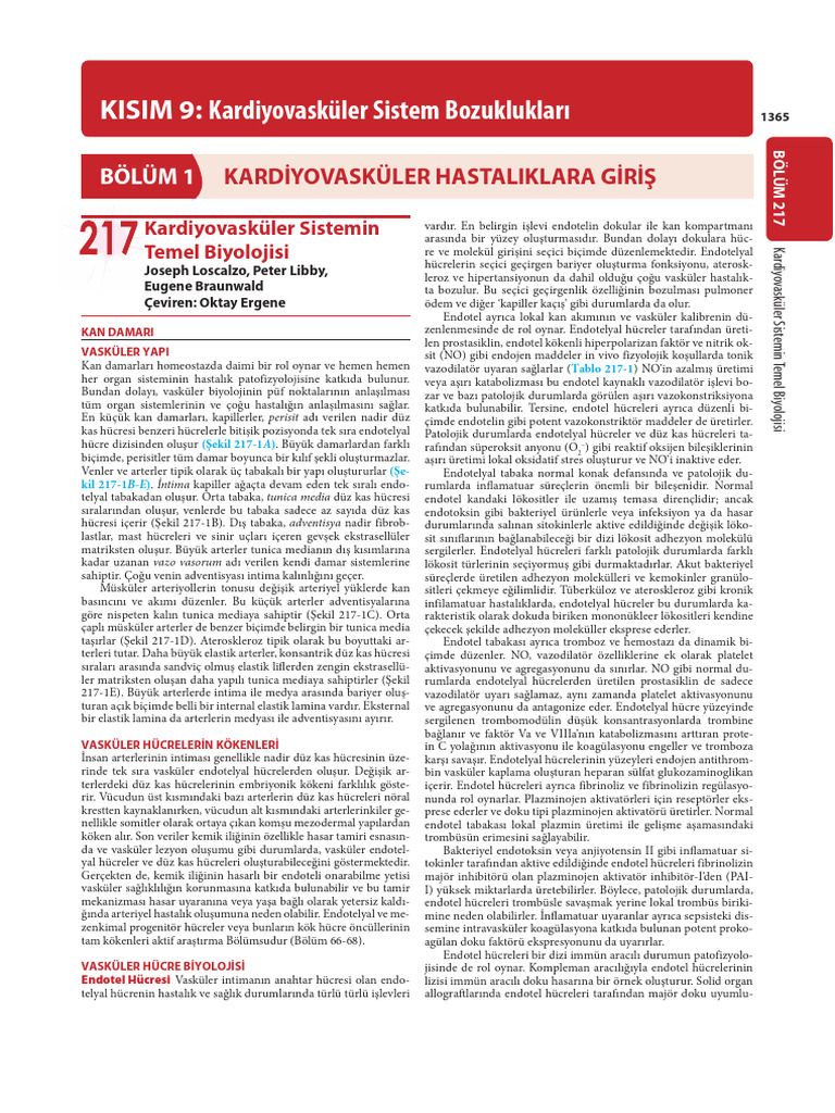 Kisim | PDF