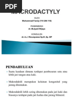 Download MAKRODAKTILI by Mohammad Fandy Rahmatu SN82032430 doc pdf