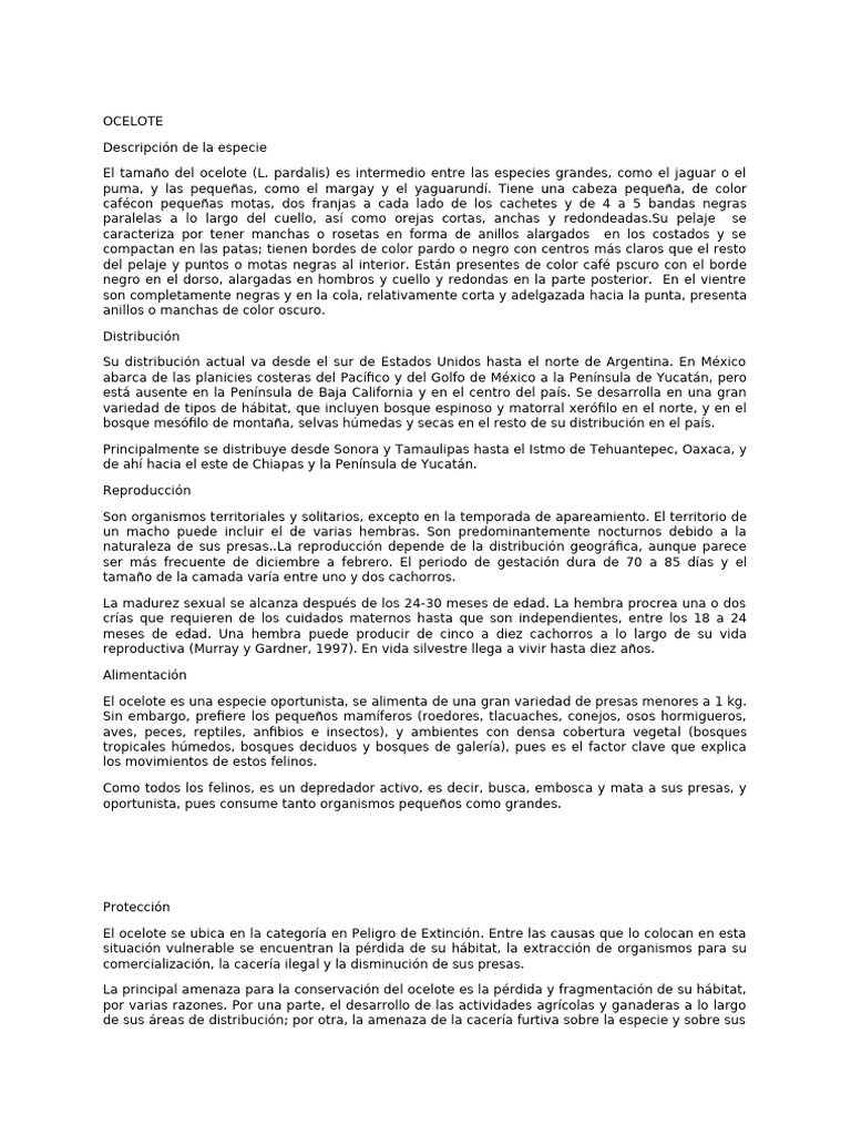 Ocelot e | PDF | Depredación