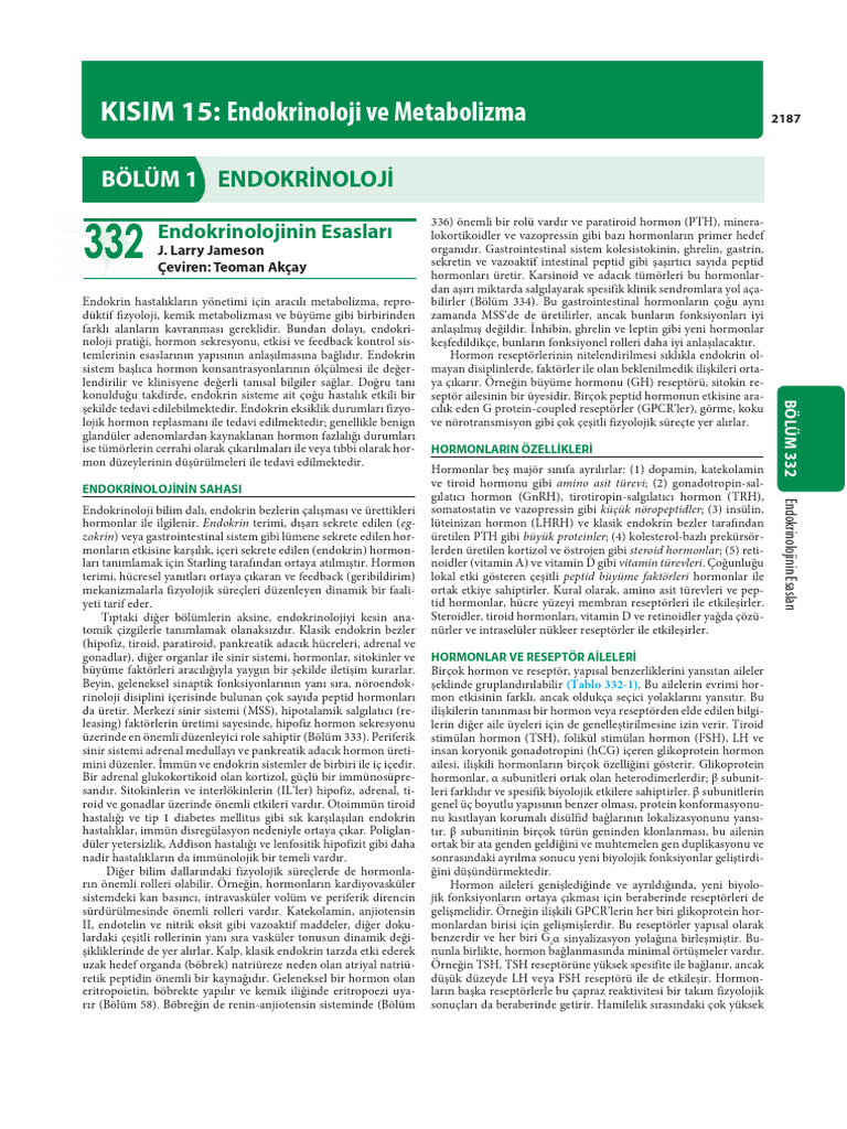 Kisim | PDF