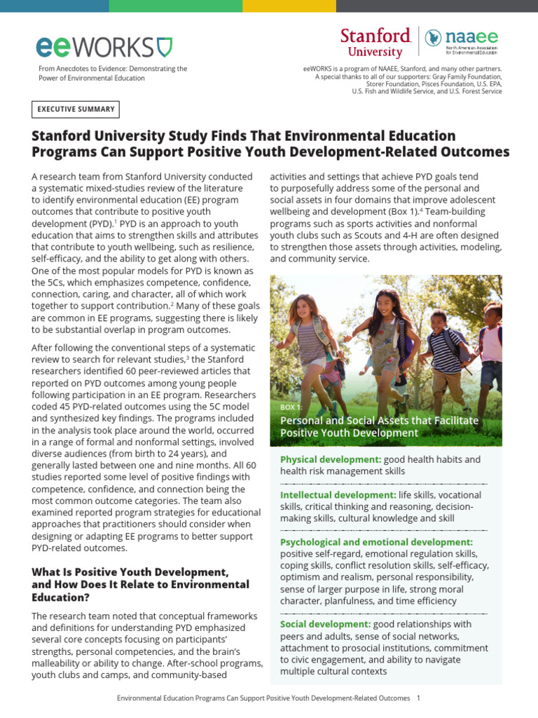 EeWORKS Positive Youth Development Exec Sum Access | PDF | Self ...