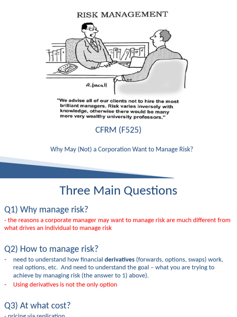 Slide - 2 - Why (Not) Manage Risk | PDF | Financial Risk | Hedge (Finance)