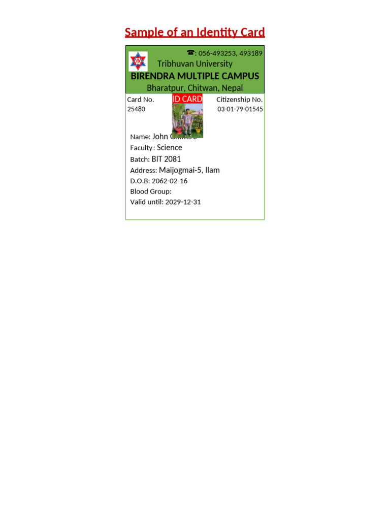 Identity Card | PDF