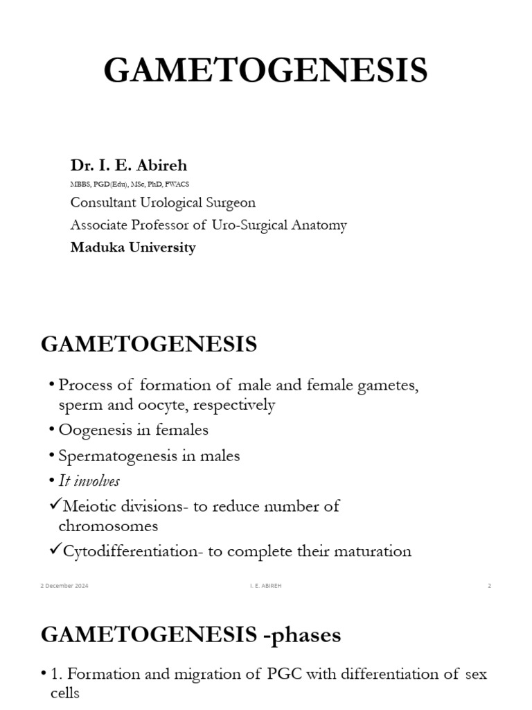 GAMETOGENESIS Preimplantation Lecture | PDF | Meiosis | Fertilisation