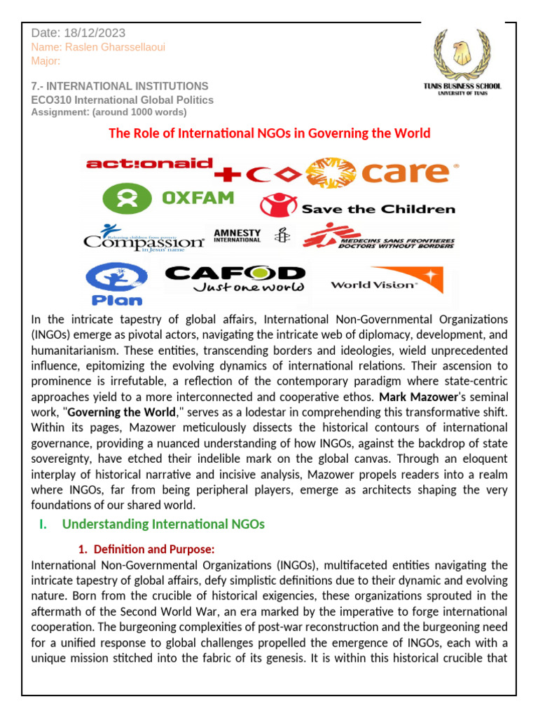 Role of INGOs in Global Governance | PDF | Non Governmental ...
