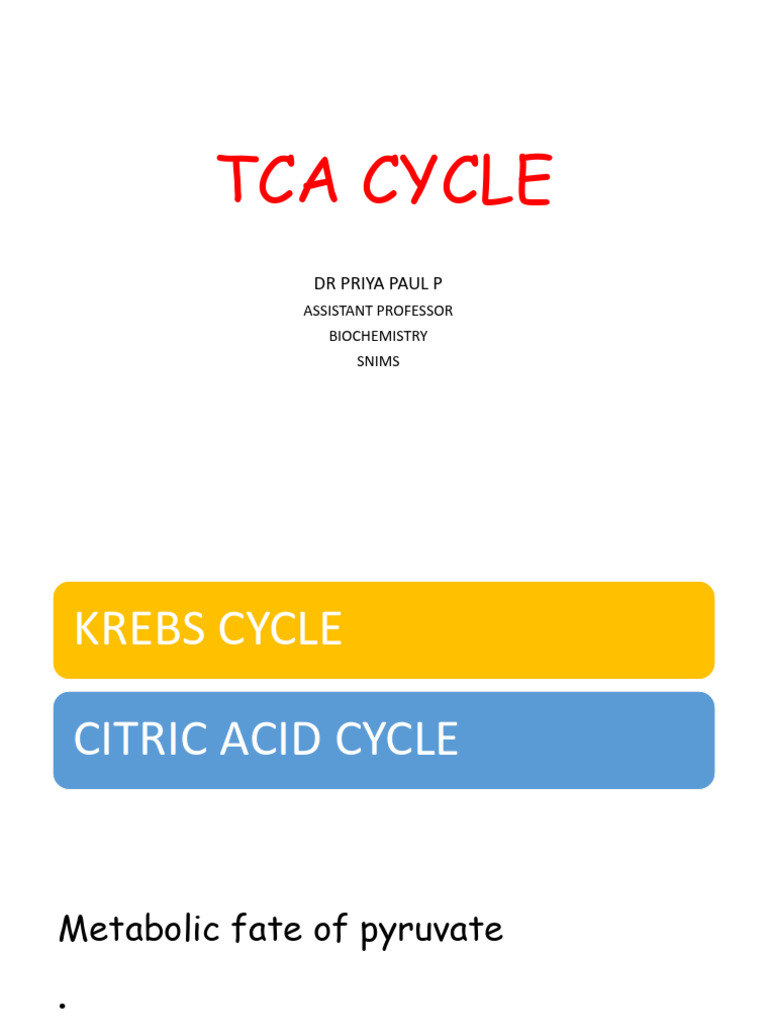 Overview of the TCA Cycle and Its Functions | PDF | Diet & Nutrition ...