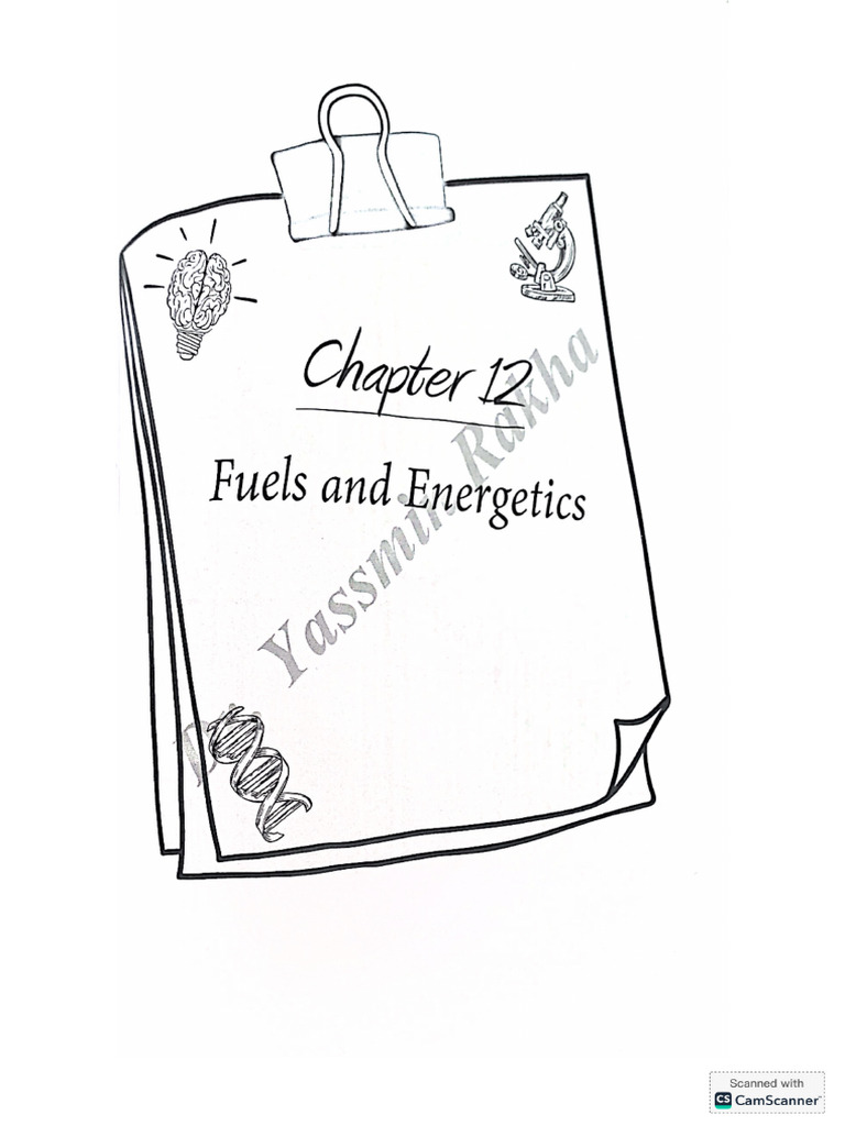 C12 1C | PDF