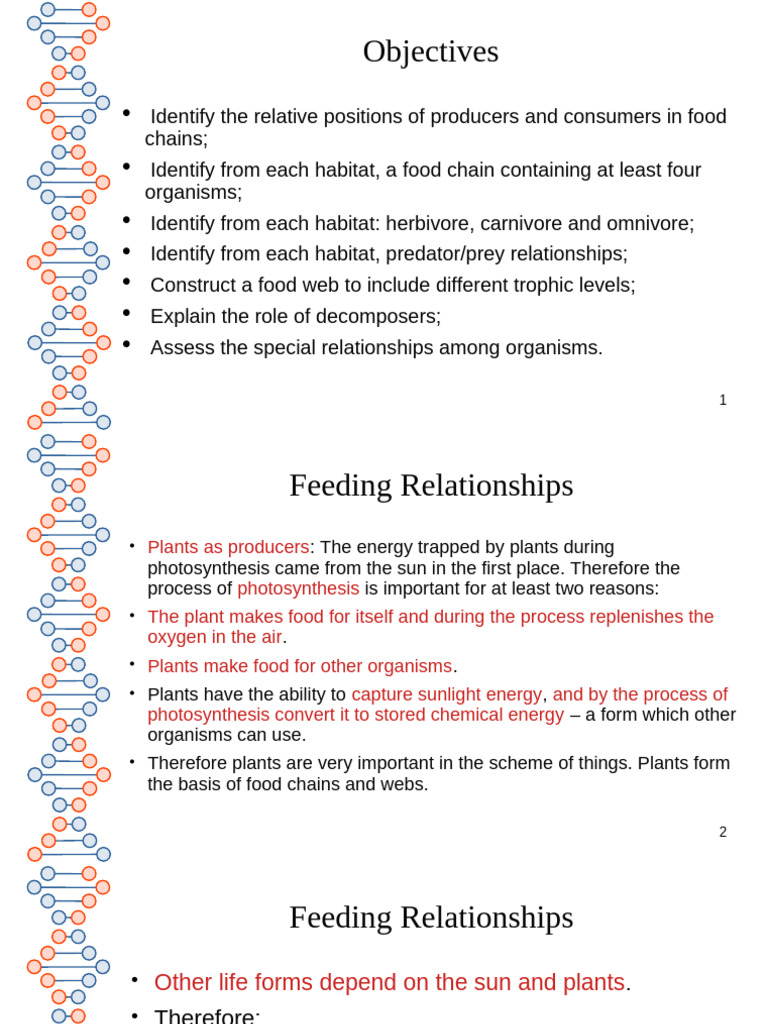 Understanding Food Chains and Ecosystems | PDF | Food Web | Predation