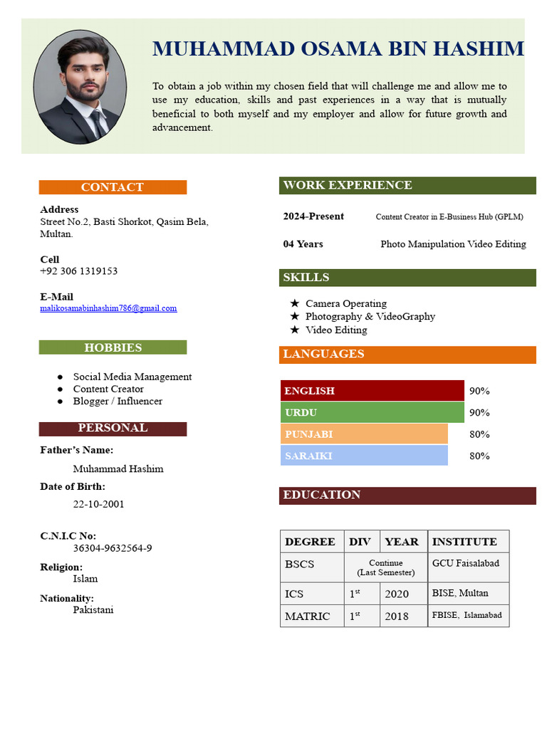 Muhammad Osama Bin Hashim CV | PDF