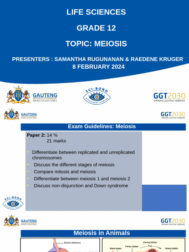 Meiosis Exam Guidelines for Grade 12 | PDF | Meiosis | Chromosome
