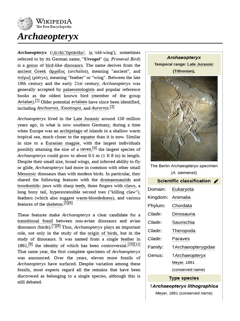 Archaeopteryx | PDF | Paravians