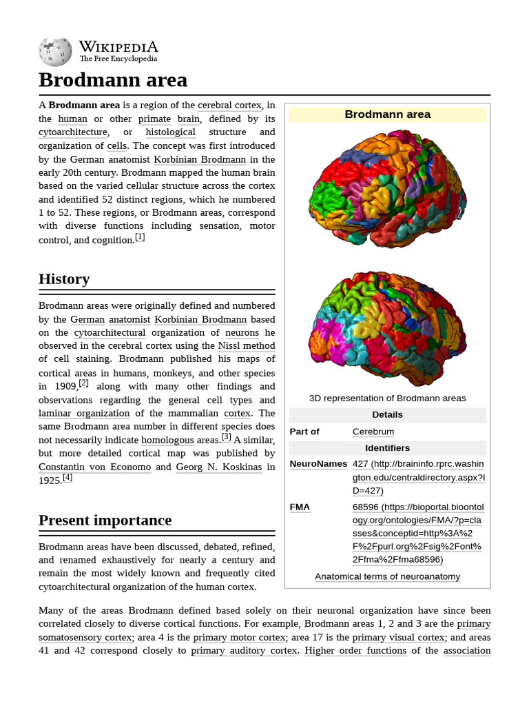 Overview of Brodmann Areas | PDF | Cerebral Cortex | Cingulate Cortex