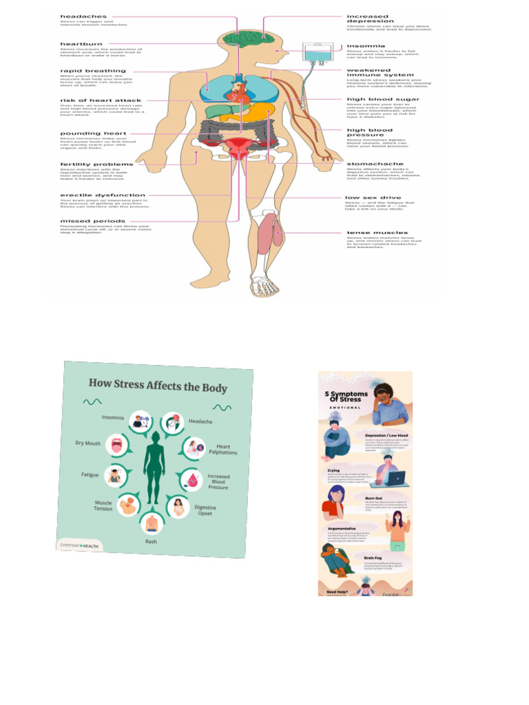 The Effects of Stress On Your Body | PDF