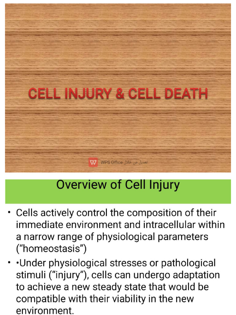 Cell Injry 3 | PDF