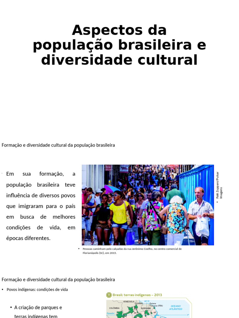 Diversidade Cultural e Demográfica do Brasil | PDF | Brasil | Índice de ...