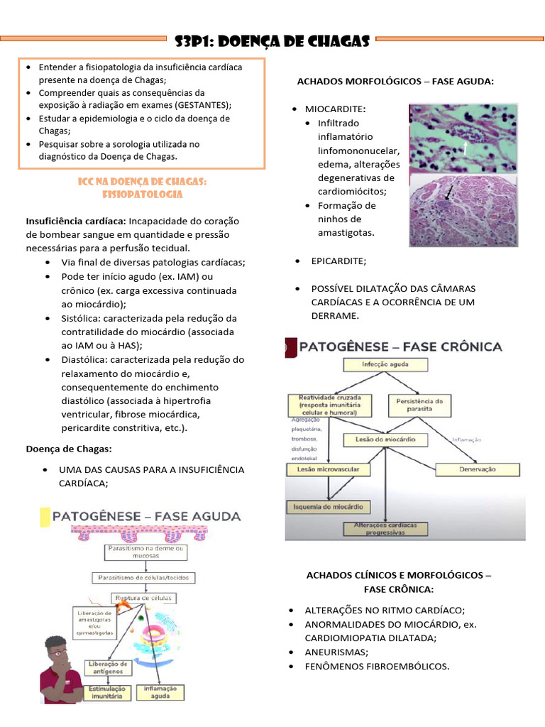 Fisiopatologia e Diagnóstico da Doença de Chagas | PDF | Radiação | Câncer