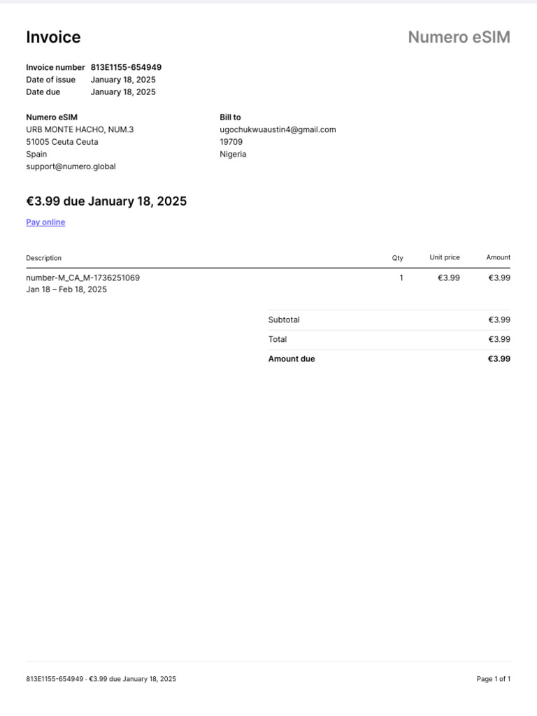 Invoice for eSIM Service Payment | PDF