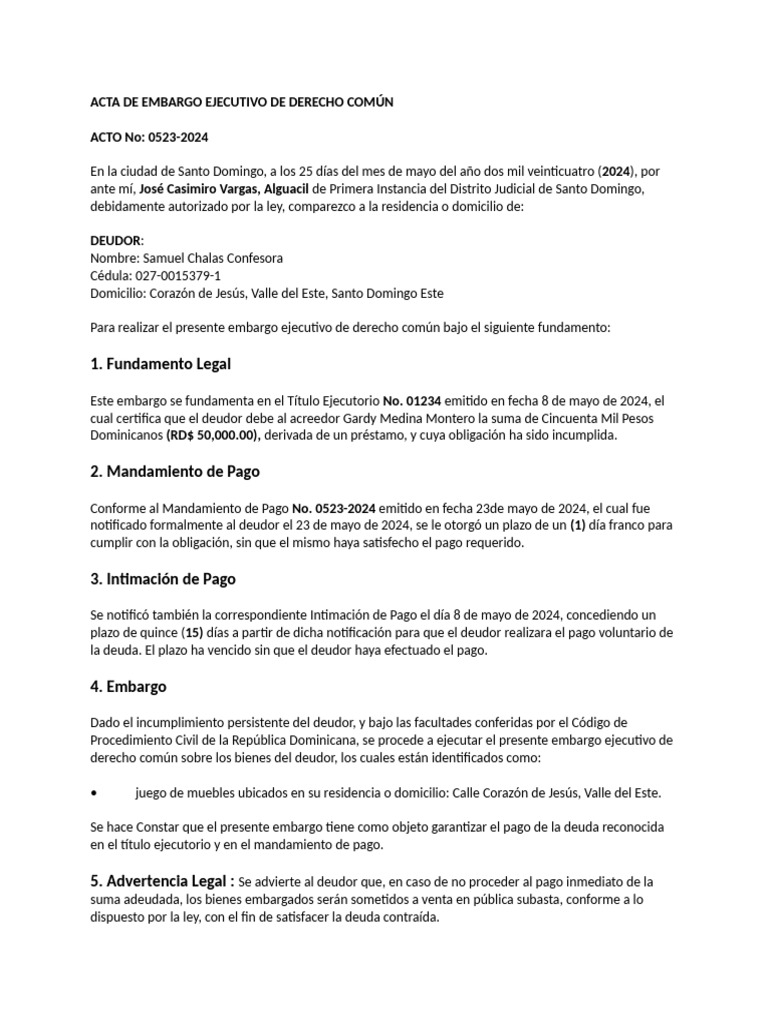 Acta de Embargo Ejecutivo 2024 | PDF | Pagos